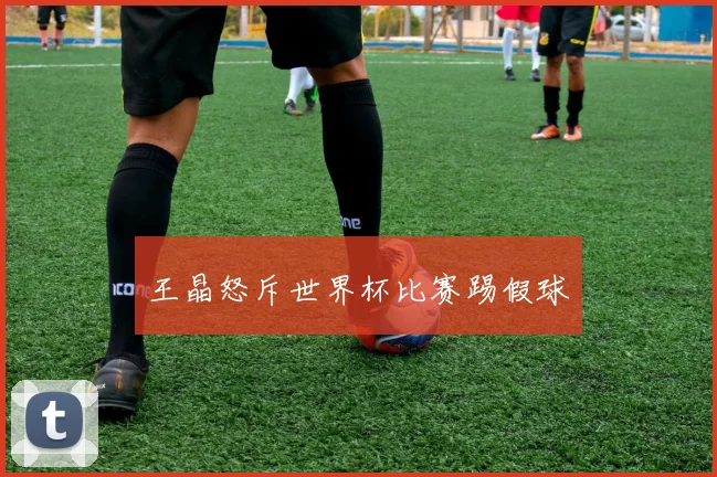 王晶怒斥世界杯比赛踢假球